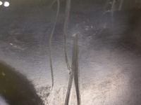 фото thumb №5, Honda accord vii 2.0 i-vtec поддон поддон масляная