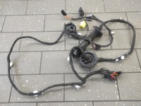 фото thumb №1, Електропроводка джгут двері правий перед audi q5 8r0971030ck