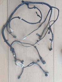 Купить Жгут электропроводка лампа ремень перед renault kangoo 2, фото thumb