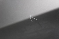 фото thumb №3, Дверь правый задняя kia picanto ii 3d