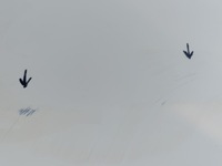 фото thumb №8, Mercedes e-klasa w213 универсал дверь левая задние зад 2137320310