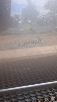 фото thumb №11, Opel meriva a дверь перед правый z165