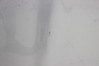 фото thumb №8, Капот кришка двигуна mercedes slk r170 2002r 744