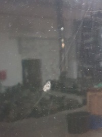 фото thumb №9, Капот audi a6 c5 універсал k: ly9b 02r.