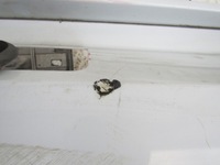 фото thumb №11, Бампер porsche cayenne s 7p lift 14-17 задняя pdc