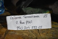 фото thumb №4, Idealna захист теплова porsche panamera 970 1