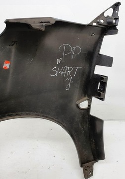 фото thumb №9, Крило правий переднє перед eb2 ecg smart fortwo ii 451 a4518810201