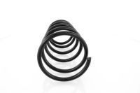 Купить Пружина перед renault megane+ scenic i 95-, фото thumb