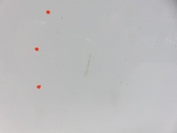 фото thumb №11, Дверь правый задняя hyundai ix35 lm, el, elh wd