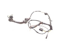 Jaguar daimler xj жгут трубопровод дверь задних задний prawidłowy 1996 седан Доставка, фото thumb