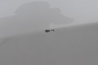 фото thumb №10, Peugeot 2008 ii дверь правый задняя задние kwe белый перламутр