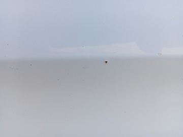 фото thumb №13, Дверь левый перед белый vw passat b7 lb9a