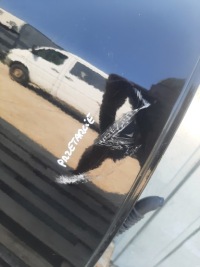 фото thumb №11, Дверь правое задняя задние hyundai santa fe santa-fe ii lata 2006-2009