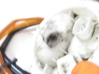 фото thumb №9, Датчик рівня регулятор пального bmw e81 e82 e87 e90 e91 e92 93 n43 n53 n54