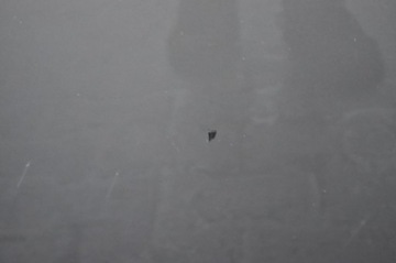 фото thumb №8, Peugeot 3008 i дверь левый перед левая передние