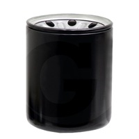 фото thumb №1, Hifi фильтр масла двигателя