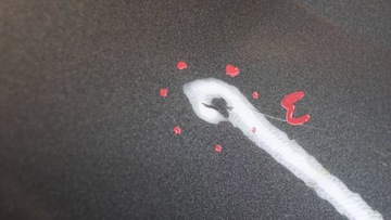 фото thumb №9, Citroen c4 ii b7 крило правий перед ktp b2972