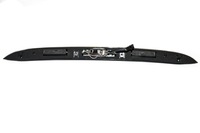 фото thumb №2, Молдинг освітлення номерного знака mini r50 r52 r53