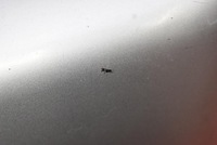 фото thumb №12, Зеркало левая серебристый eu 012210 mitsubishi outlander 1 i 01-08 5 pin