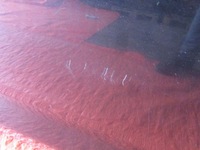 фото thumb №6, Toyota hilux 2007 дверь правое задняя kpl