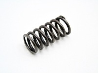 фото thumb №1, Пружина клапана головки 2.2 cdti vcdi antara captiva z22d1