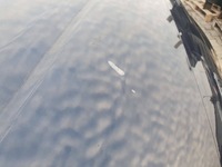 фото thumb №6, Капот кришка двигуна audi a8 d3 рестайлінг 05-09 lz5d