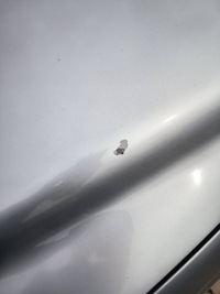 фото thumb №5, Капот кришка двигуна fiat croma ii lift