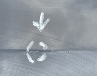 фото thumb №11, Porsche cayenne iii 3 9y0831312d 2018 двері праве передні перед