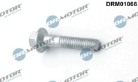 Купити Dr.motor automotive болт кріплення форсунки ford, фото thumb
