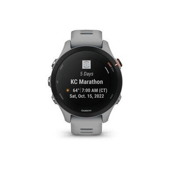 Garmin Forerunner 255 S Серые GPS-часы