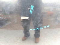 Капот audi a4 b6 00-06 8e0 +решётка радиатора маленький  4/5pń с Разборки, фото thumb