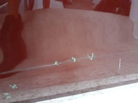 фото thumb №4, Дверь передние перед правые bmw 4 i4 g26 grand купе 2021-