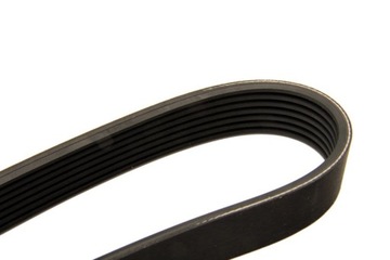 фото thumb №11, Bosch 1 987 948 316 стрічка klinowy wielorowkowy