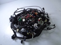 фото thumb №1, Електропроводка відсік двигуна панель приладів renault megane iv hb 1.6 tce 17 rok