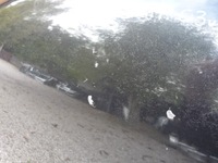 фото thumb №13, Капот кришка audi a3 8p lz9w малий решітка радіатора 2003-