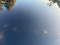 фото thumb №9, Капот кришка двигуна audi a3 8p lift 08-12 ly9b