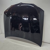 фото thumb №5, Капот кришка двигуна bmw x3 g01 ładna