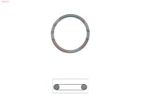 фото thumb №2, Прокладка термостата eps