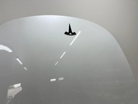 фото thumb №5, Капот tesla 3 ładna