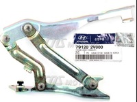 фото thumb №1, Hyundai veloster ii 19r петля петлі капот правий