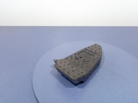 фото thumb №1, Bmw x6 g06 вкладка пол перед правая 7459446