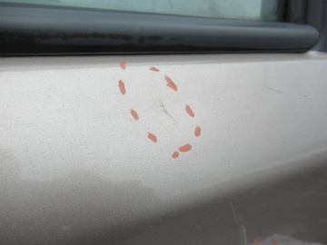 фото thumb №8, Двері задні ліві nissan note e11