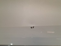 фото thumb №1, Pusta двері ліва задня задні