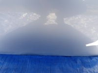 фото thumb №12, Дверь левая перед mercedes slk r171 w171 c775 775