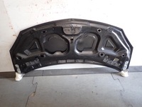 фото thumb №3, Капот renault twingo ii 2008-2014