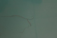 фото thumb №7, Mercedes vito w639 03r- крышка багажника багажника задняя задняя стекло