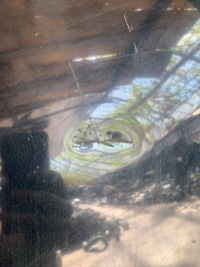 Крышка передняя капот двигателя mitsubishi carisma рестайлинг  wwa Киев, фото thumb