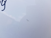 фото thumb №16, Капот кришка двигуна mercedes w207 c149 149 lift