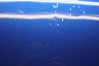 Vw golf vi plus капот крышка двигателя m813 Цена, фото thumb