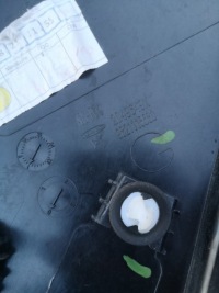 фото thumb №9, Ds3 crossback молдинг крила задня 9821115580 9821114180